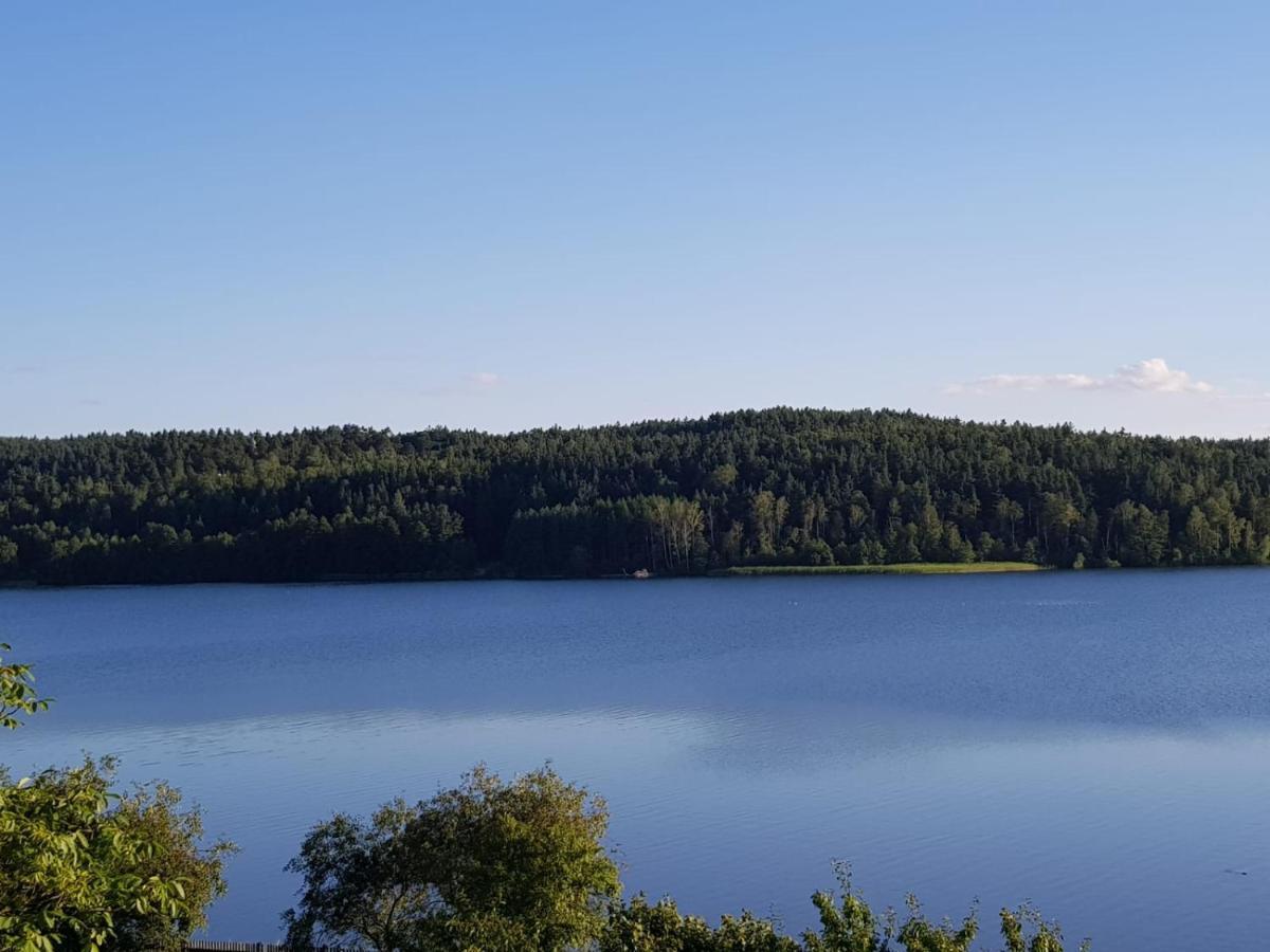 Apartament Aleksandra We Wielu Z Widokiem Na Jezioro Wiele Exterior foto